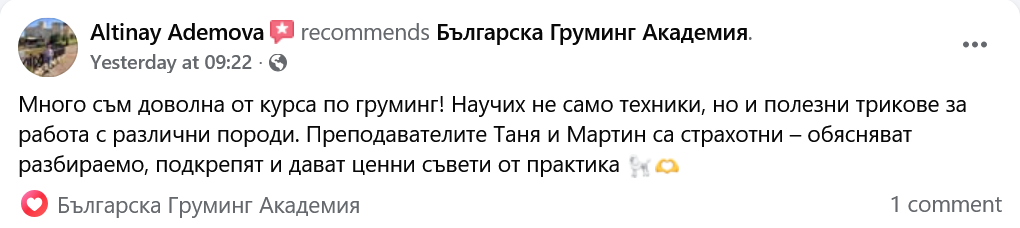Отзив - Таня и Мартин