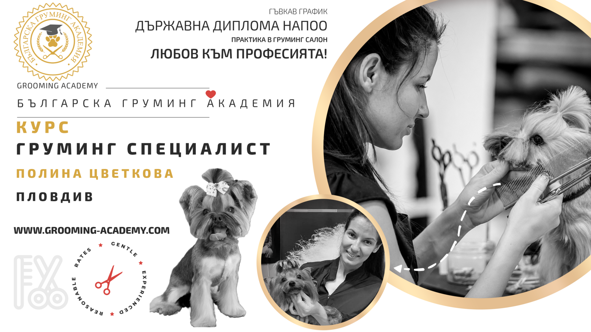 baner-kurs-gruming-polina-plovdiv-tsvetkova Груминг курсове Пловдив | Груминг салон “Polina Tsvetkova Grooming Studio“, Полина Цветкова